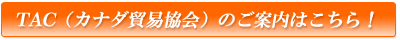 TAC�i�J�i�_�f�Ջ���j�̂��ē��͂�����I